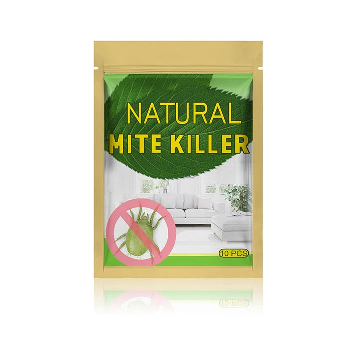 1 pack (10 PCS)